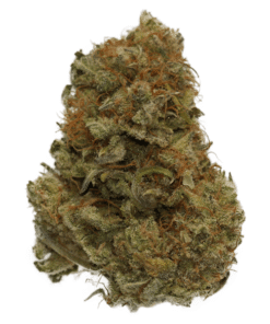 Buy Pablo?s Mints strain in usa