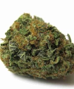 buy Phantom OG strain in usa