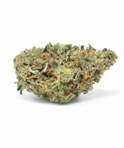buy Pine Tar Kush strain in usa