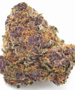 Buy Purple Tangie strain in usa