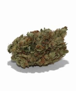 buy Purple Hashplant strain in usa