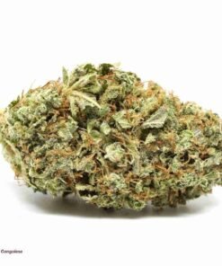 buy Red Congo strain in usa