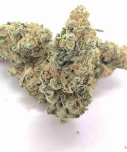 buy Sundae Driver strain in usa