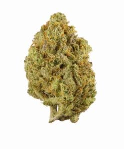 Buy Super Lemon Haze strain in usa