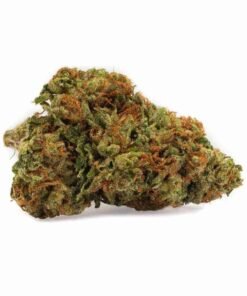 buy Kosher Kush strain in usa